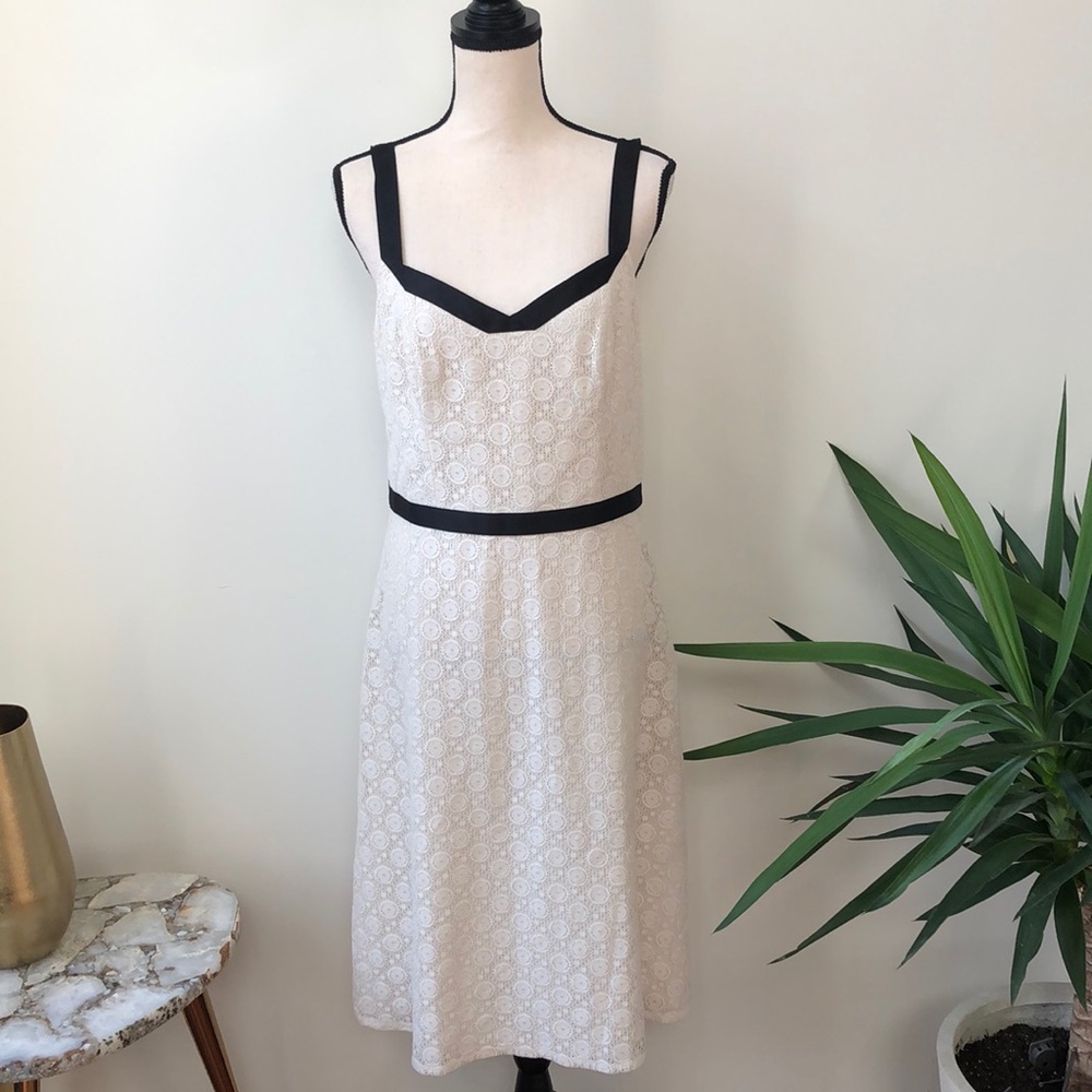 Loft Dress!!!